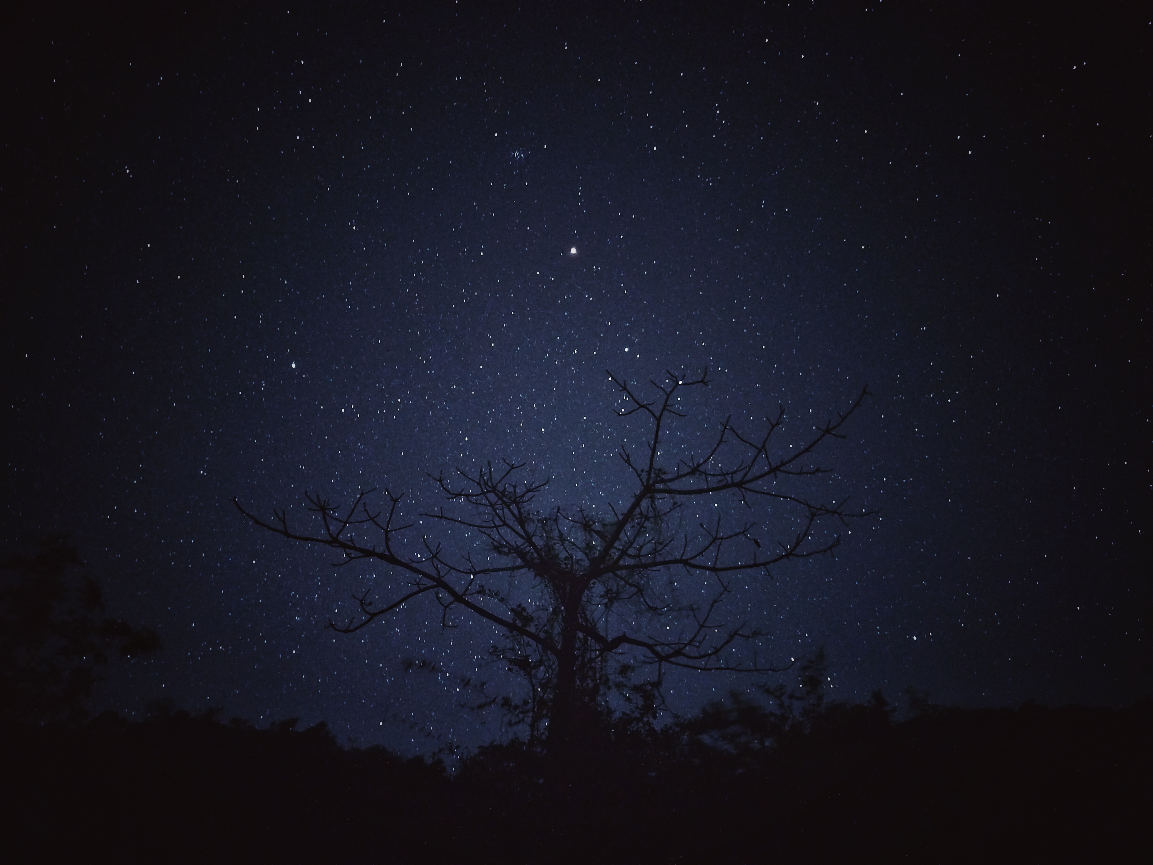 Star trails